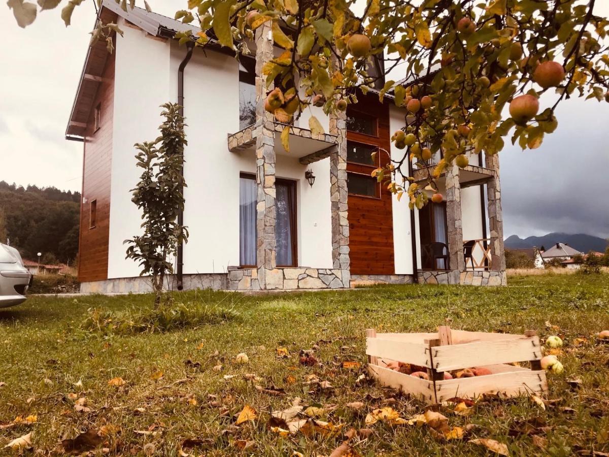 Vila Montenegrina Kolaşin Dış mekan fotoğraf